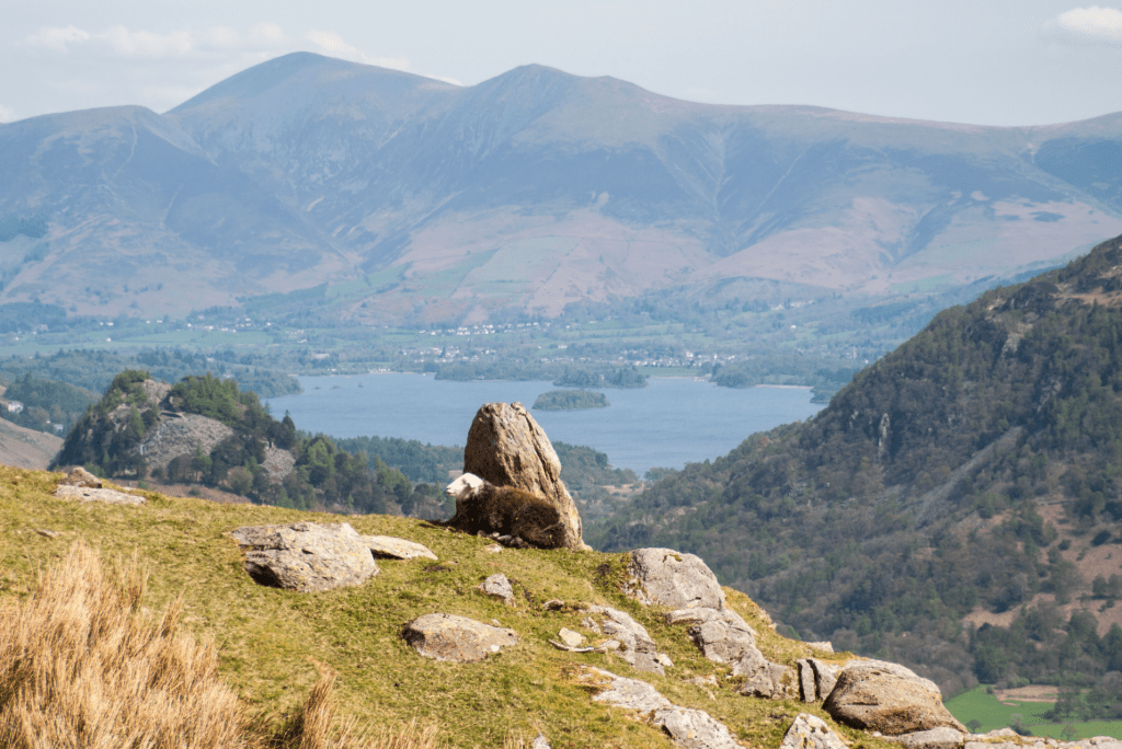 Glaramara - Castle Crag _ Skiddaw from Thornythwaite Fell.jpg