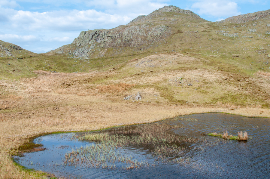 Bessyboot seen from Tarn at Leaves.