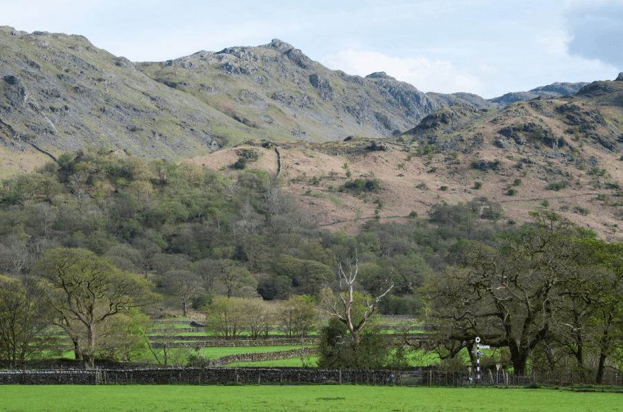 Rosthwaite Fell from Seatoller 03.jpg