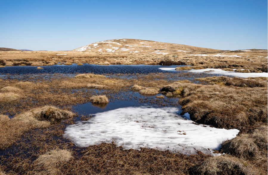 12_Tom Buidhe rising above acres of peat hags and bogs.jpg