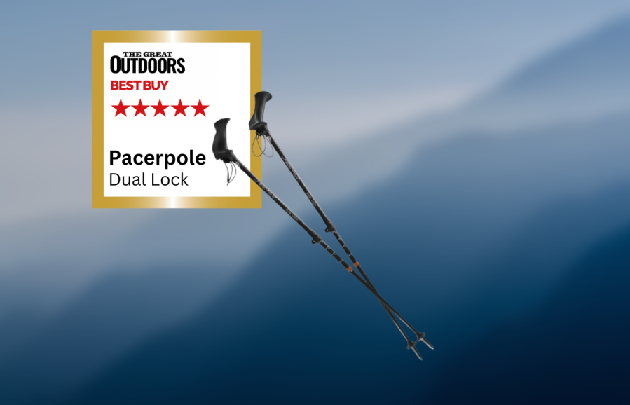 best trekkin poles: Pacerpoles Dual Lock