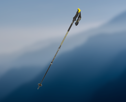 Salewa Carbonium Ascent Poles