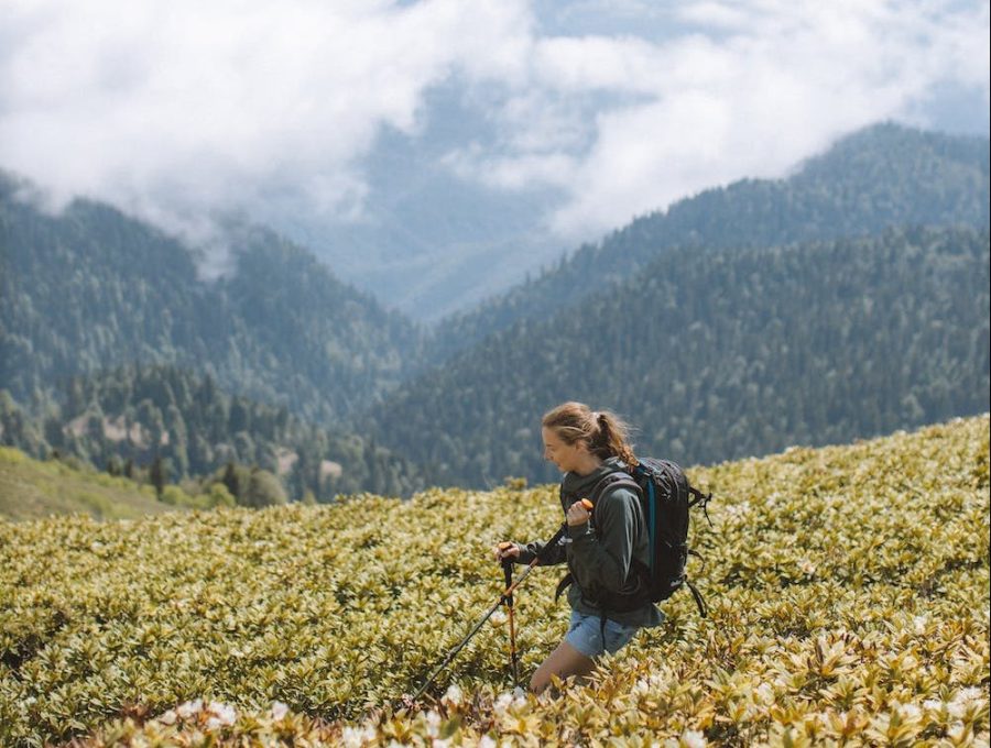 woman hiking - how to choose the right hiking poles - pexels-photo-4762675