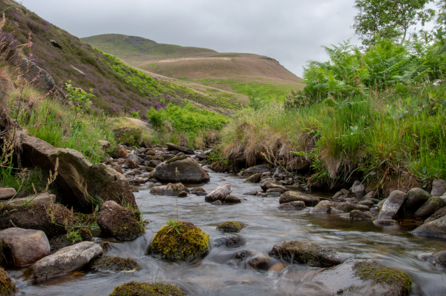 James_s Thorn seen from Shelf Brook .jpg