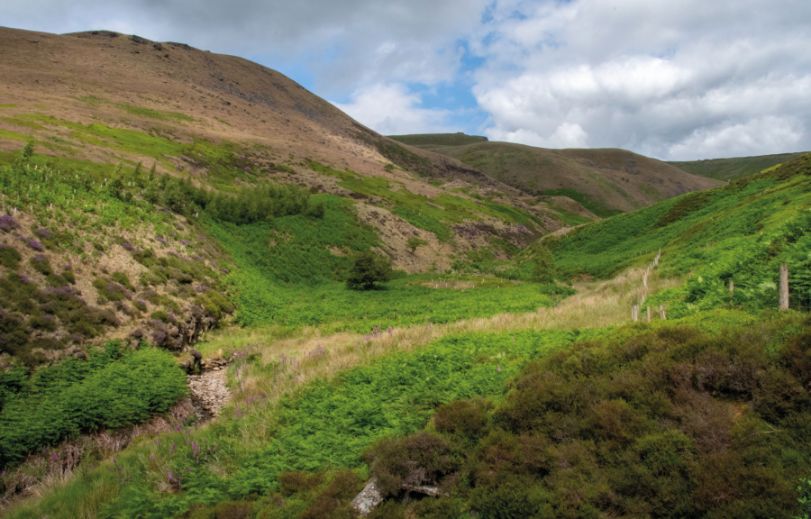 Shelf Brook Glossop.jpg