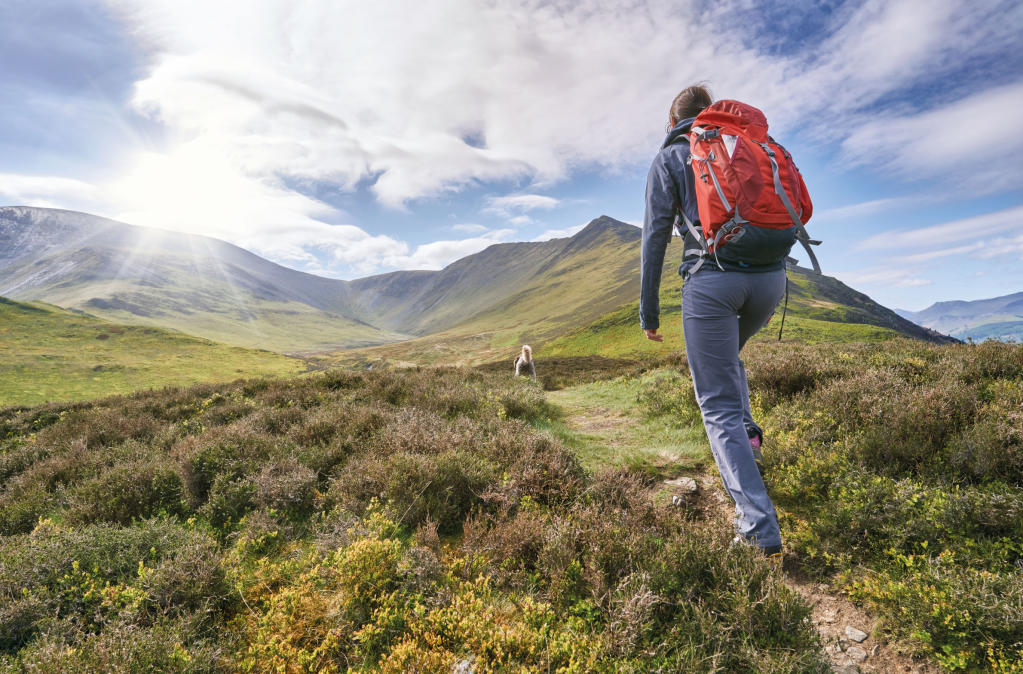 Weekend adventure - Keswick is a haven for your canine companion. Credit: Shutterstock