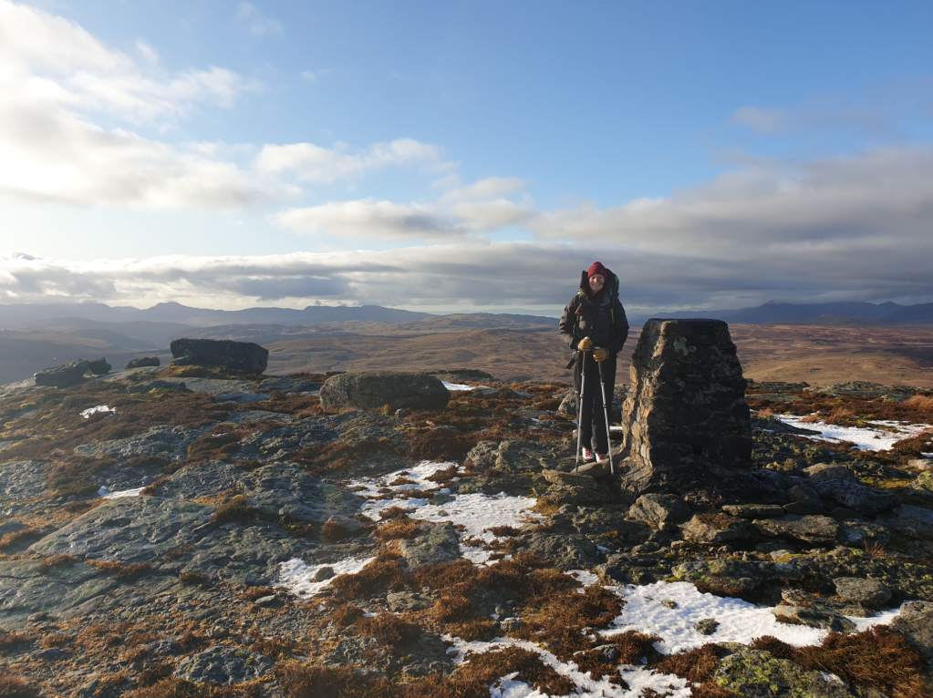 The trig pillar on the summit of Arenig Fach (2).jpg