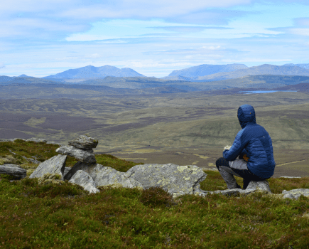 The summit of Arenig Fach.JPG