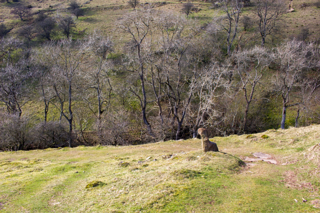 15. Interestingly shaped stone by descending path.JPG