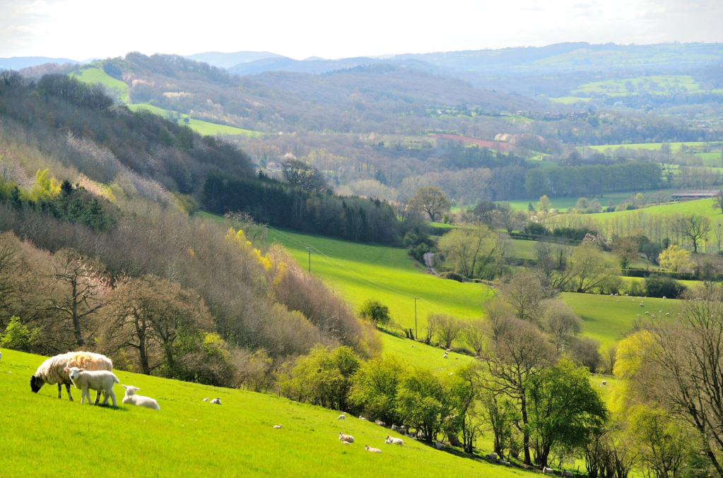 Photo 2: View looking south from near Pudford Hill