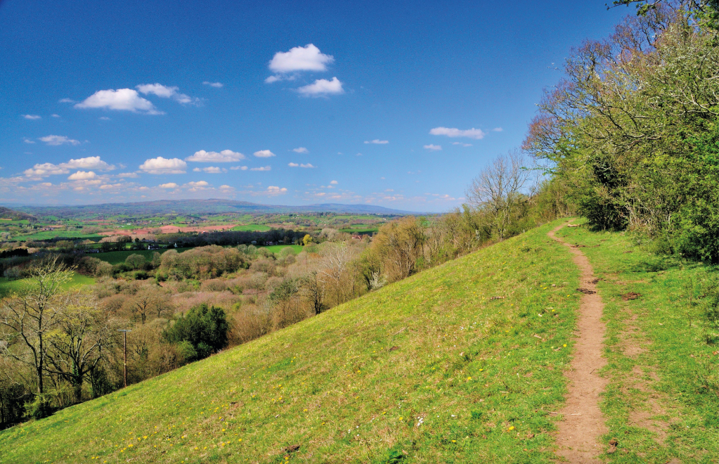 Photo 5: On the crest of Walsgrove Hill with the hills of Titterstone Clee and Brown Clee on the horizon.JPG