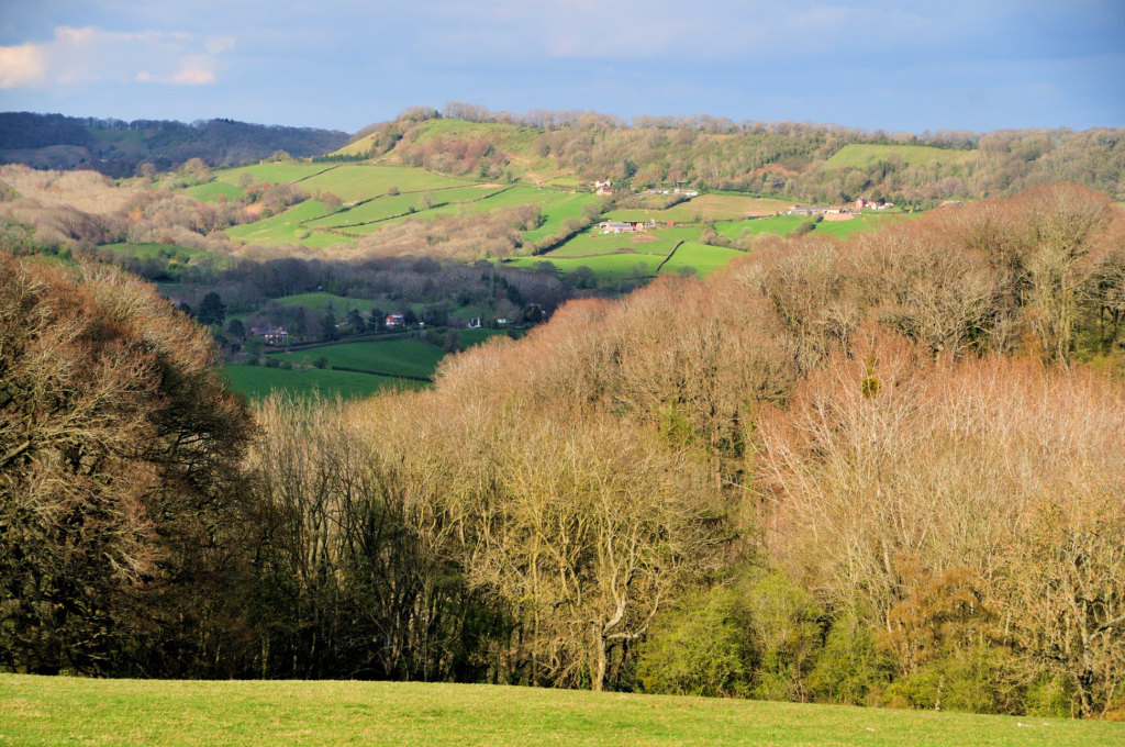 Photo 8: Walsgrove Hill seen looking north-east across the Teme valley from the steep path above Devil’s Den and Hell Hole.JPG