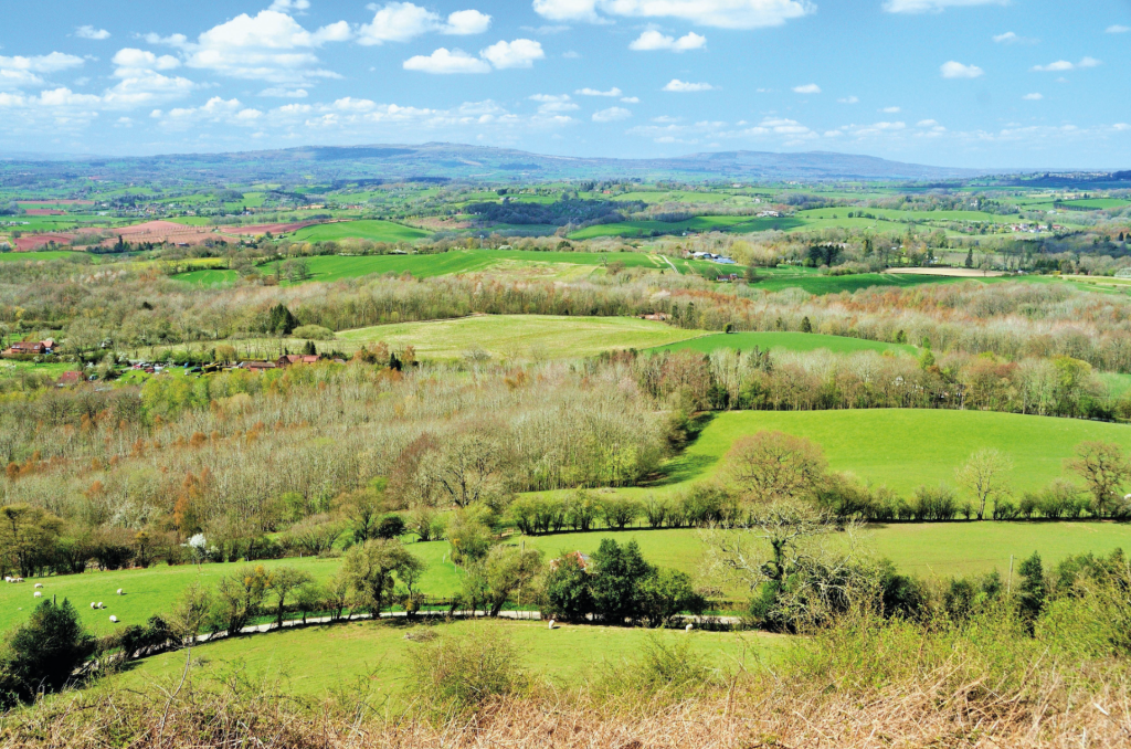 Photo 7: Titterstone Clee and Brown Clee seen looking north-west from Walsgrove Hill.JPG