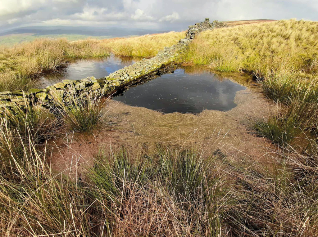 The seemingly flat plateau conceals secret folds and pools_credit Andy Carson.jpg