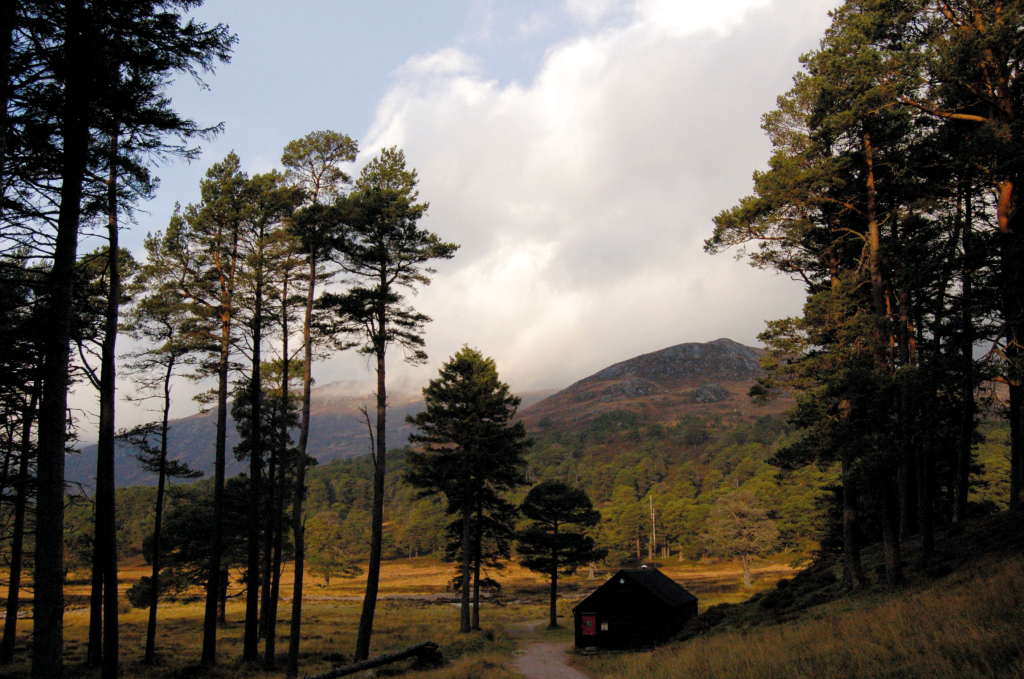 2 Mountain rescue hut at Derry Lodge