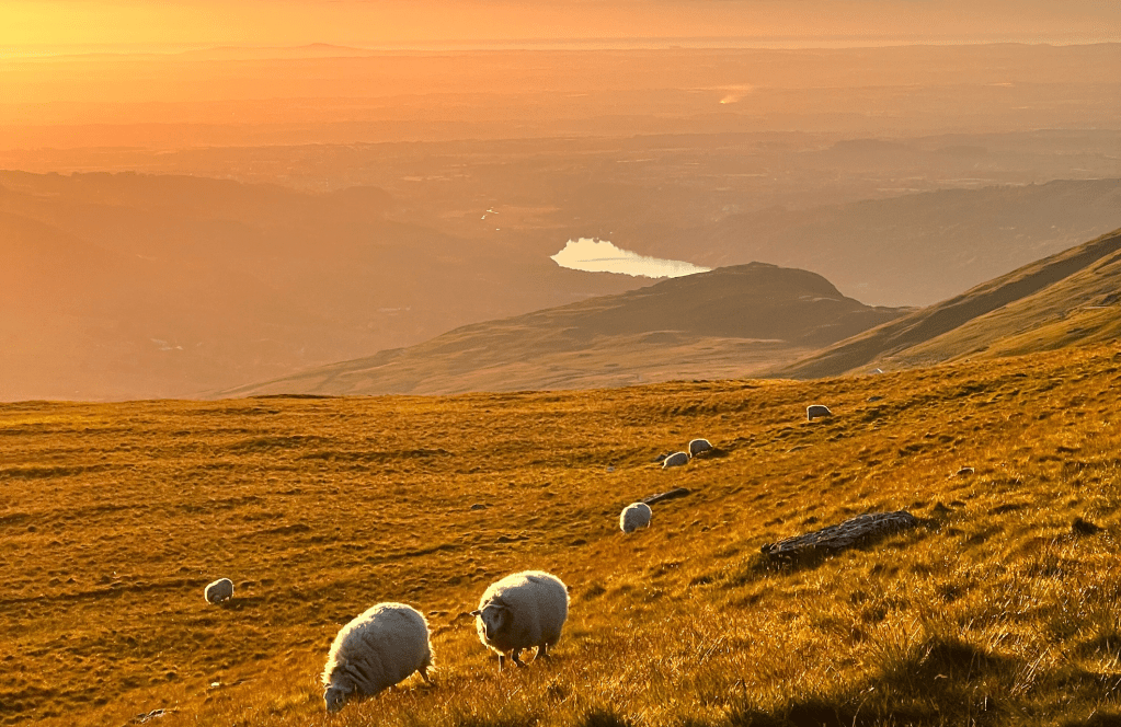 Yr Wyddfa via Watkin and Llanberis path 