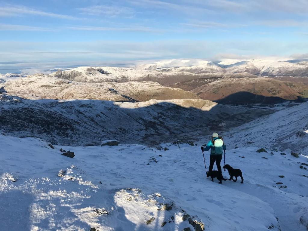 Vicki McCreadie on walkies with her dogs.