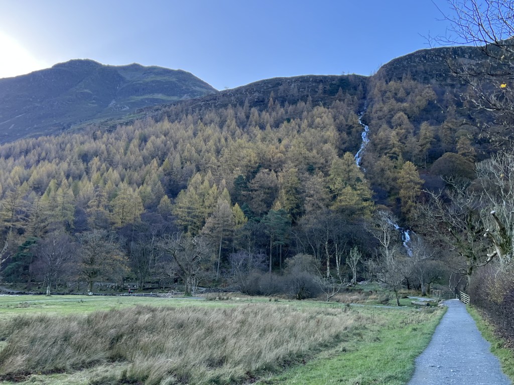 3. Sourmilk Gill nestled in amongst autumnal woodland