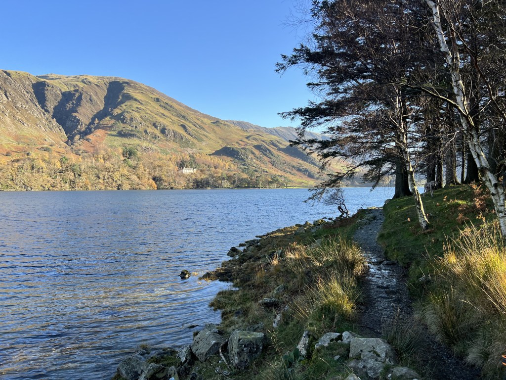 Buttermere 7. A walk between woodland and water with Goat Crag in the distance