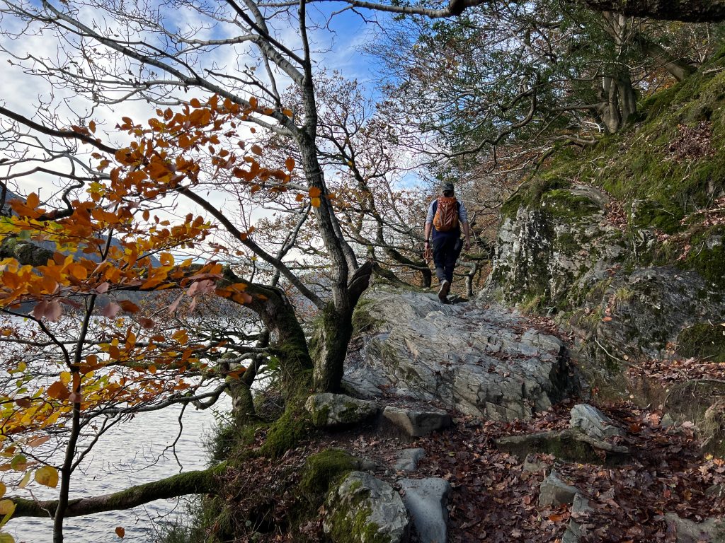 Buttermere 21. The way back via Hasness Crag wood offers engaging low-level walking