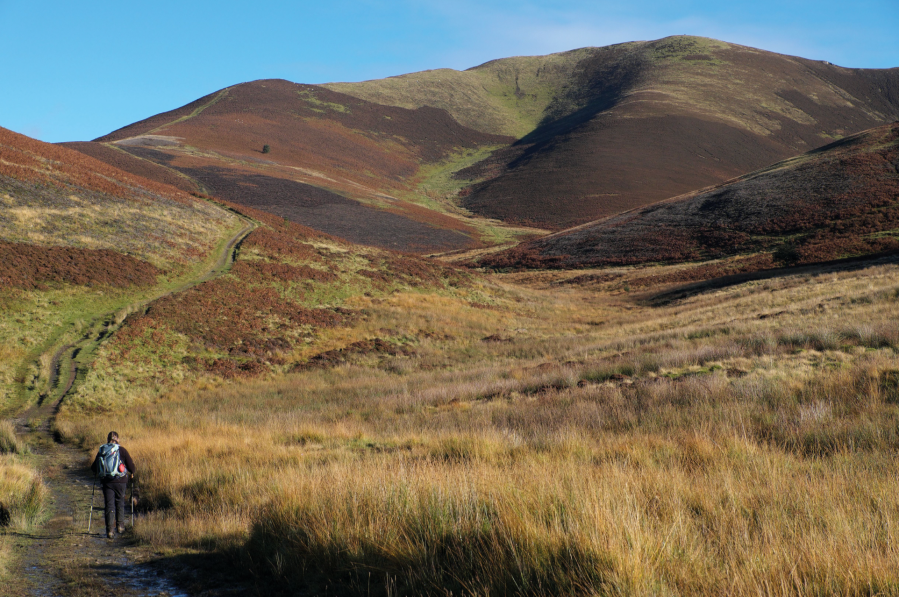 The track climbs through the Hollows Burn glen_DSCF6919