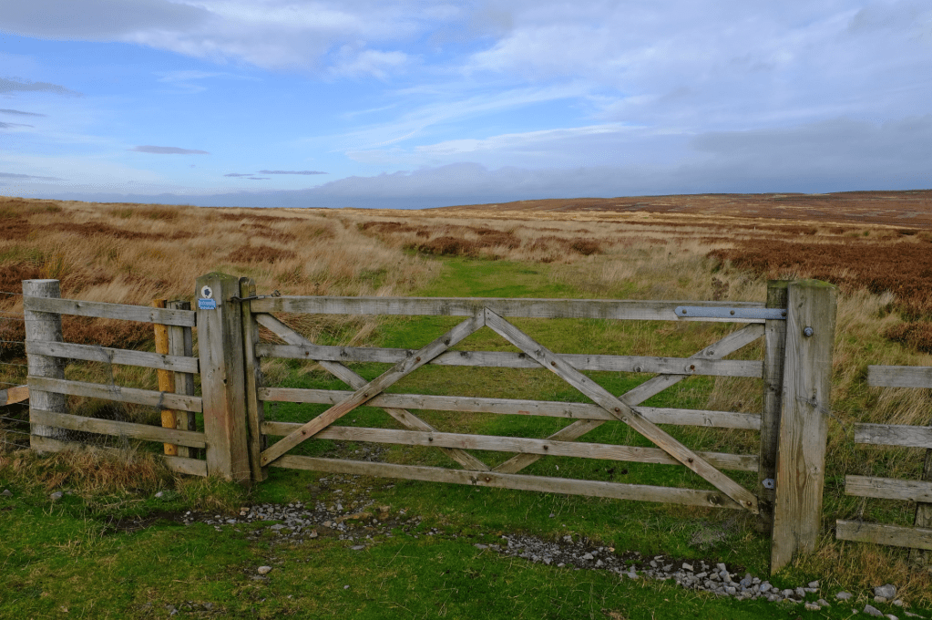 Gate on Birkside Fell. Credit: Vivienne Crow