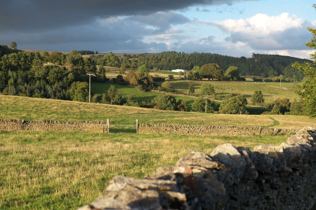 On the return to Blanchland_DSCF5139.jpg