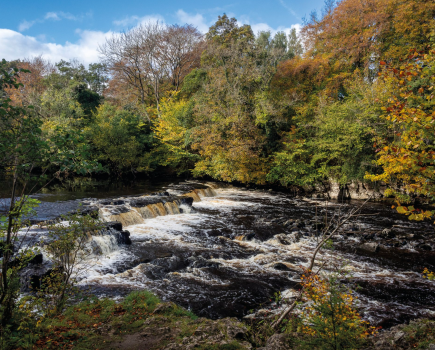 7 - Autumn colours at Redmire Force on River Ure - _A180686