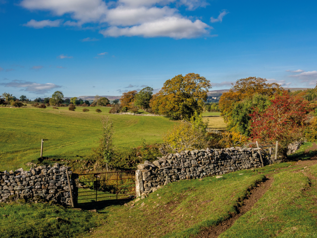 2 - Waypoint 2 - Gate near Wanlass in Wensleydale - _A180595