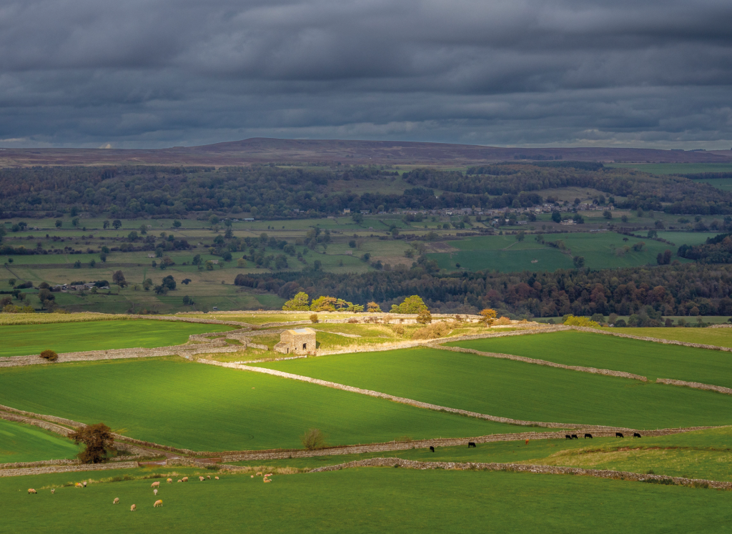 9 - Barn above Nossill Scars Wensleydale - _A180730