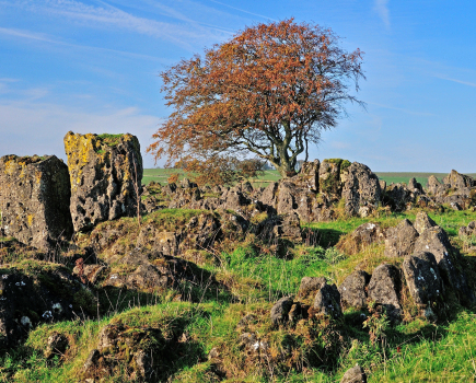 Photo 5: A pair of taller monoliths standing near the top of Roystone Rocks