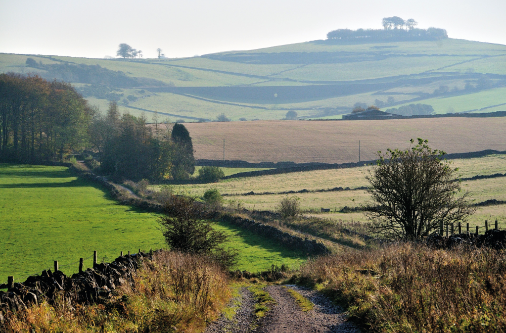 Photo 1: View looking east along Cardlemere Lane to the distinctive clump of trees on Minninglow Hill 