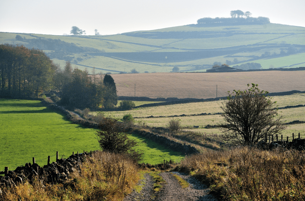 Photo 1: View looking east along Cardlemere Lane to the distinctive clump of trees on Minninglow Hill 