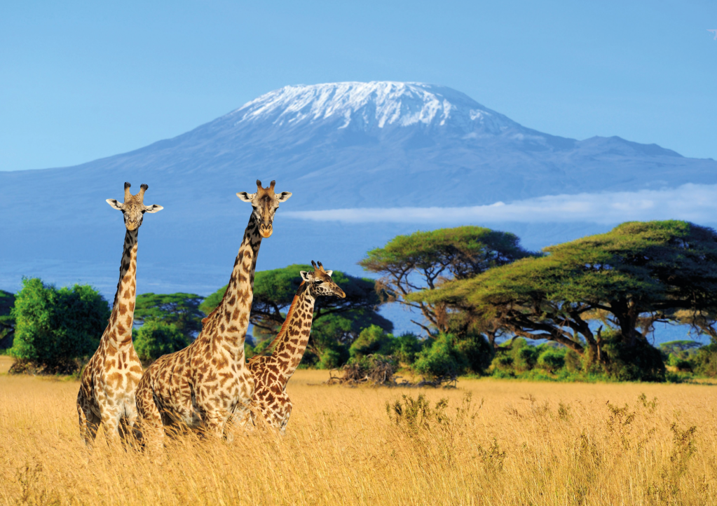 Kilimanjaro via the machame route