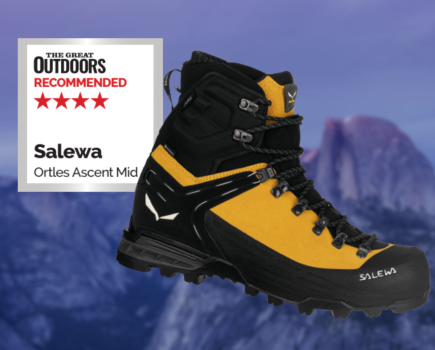 Salewa Ortles Ascent Mid