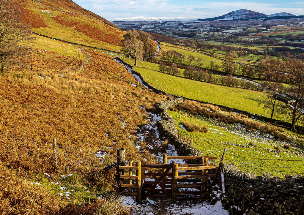 5 - Waypoint 5 - Return path above Blease Farm and Threlkeld - P1180492