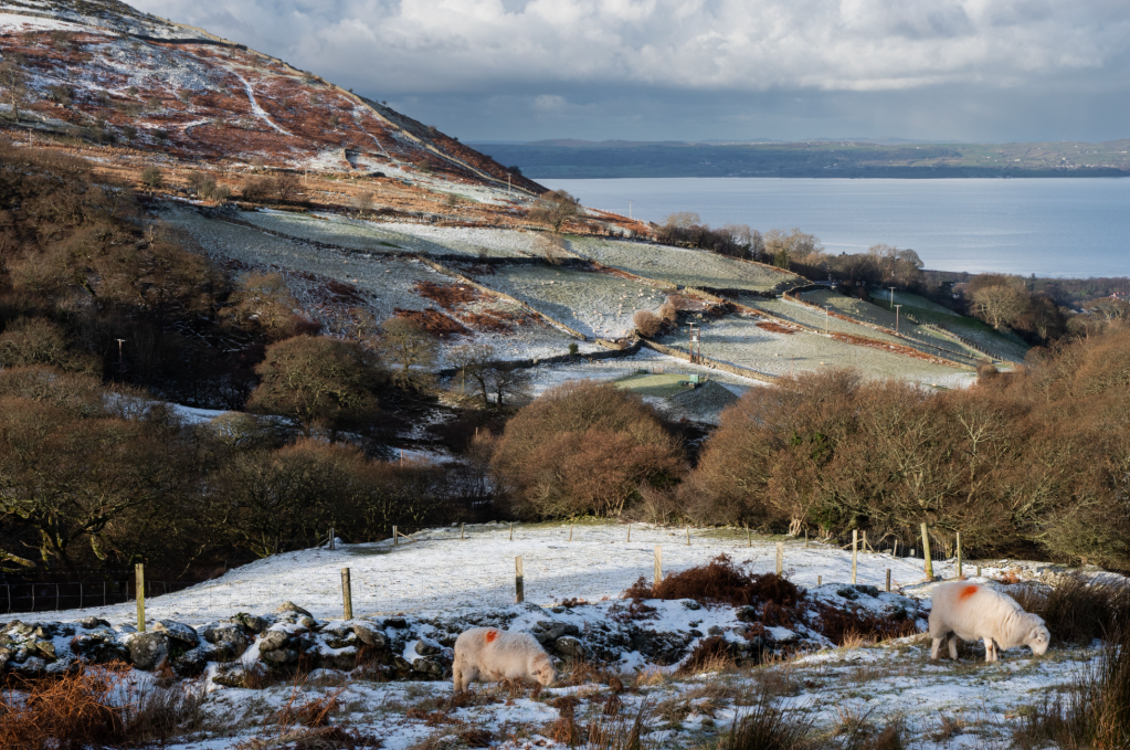 Nant y Pandy