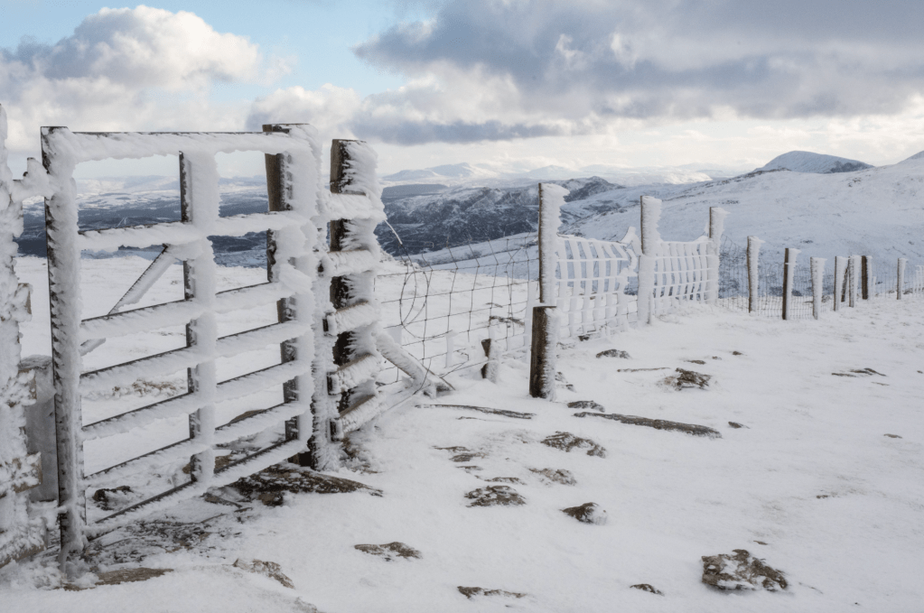 Gate on the top of Drum