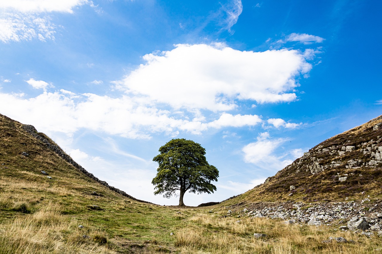 NextImg:We need a revolution to repair our broken relationship with nature
