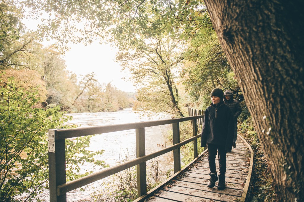 Cenarth board walk along the river Teifi - Discover Carmathenshire