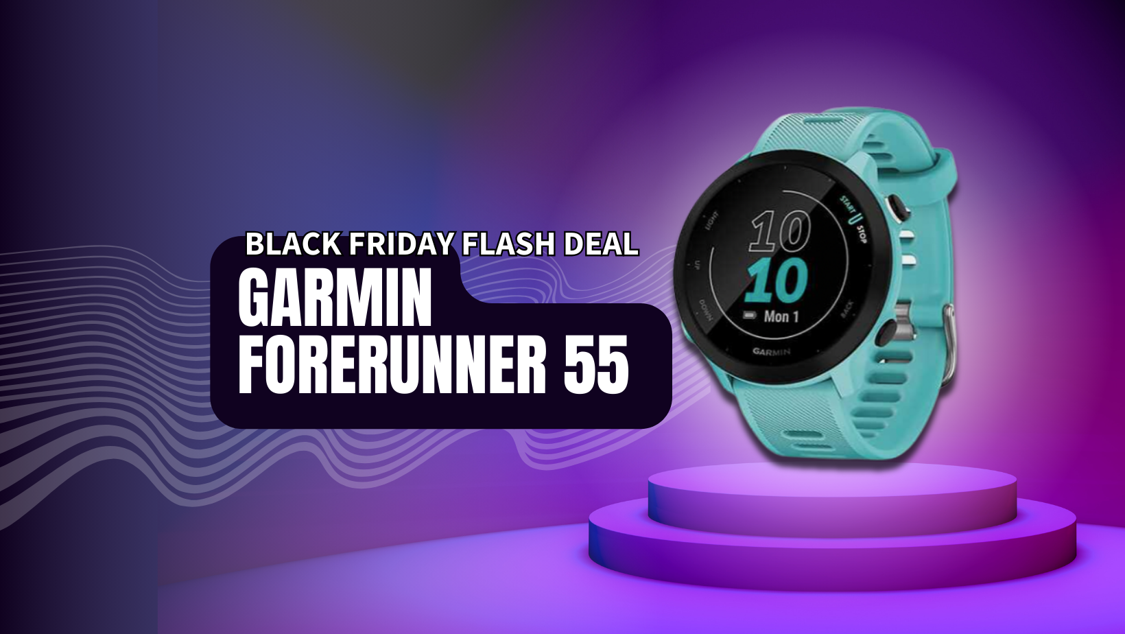 Forerunner 55 GPS Running Smartwatch