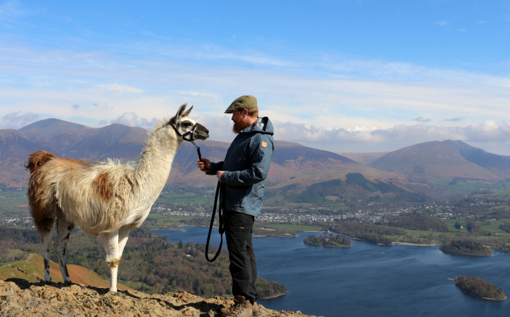 christmas gifts for hikers - Alpacaly Ever After co-founder Terry Barlow on Catbells with Boo. Credit: Alpacaly Ever After
