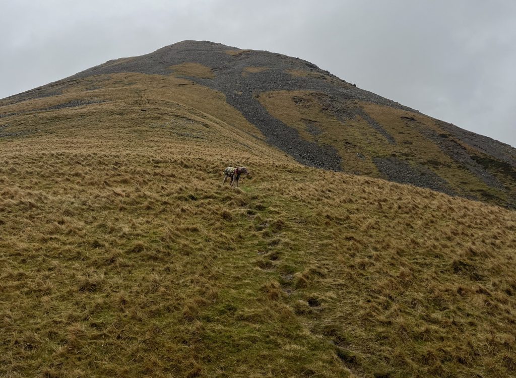 Looking up to the scree ascent of Kirk Fell. Credit: Francesca Donovan