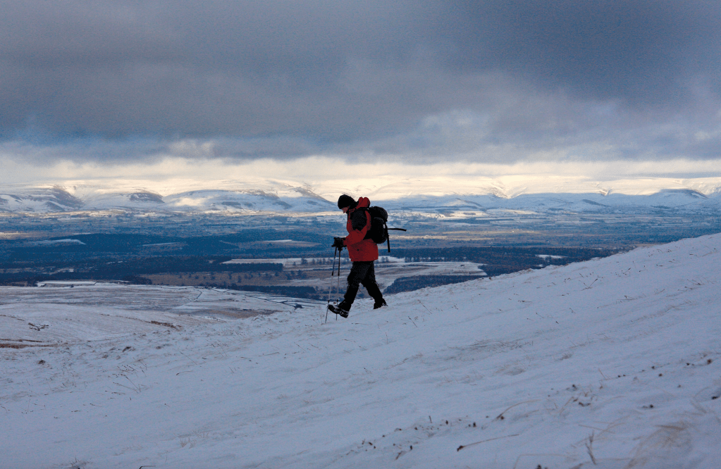 Descending from Loadpot Hill_4734