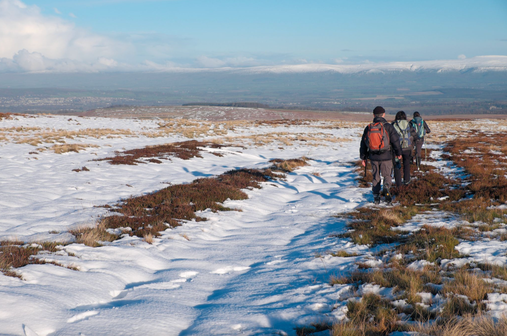 On the return path, with the North Pennines ahead_DSCF7882