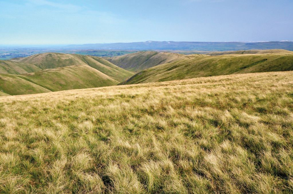 Photo 2: View looking north from The Calf with the North Pennines on the far skyline 