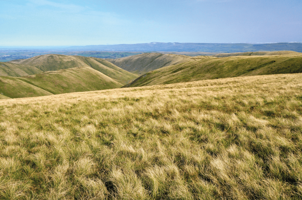 Photo 2: View looking north from The Calf with the North Pennines on the far skyline 