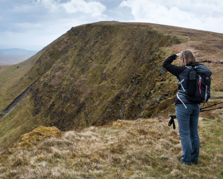 Cadair Berwyn