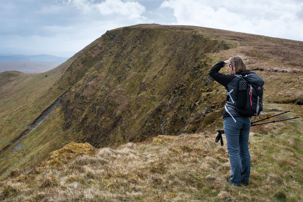 Cadair Berwyn