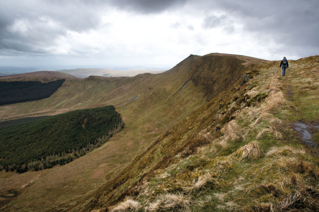 The Berwyn Ridge